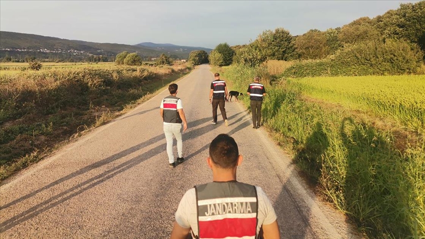 Kayıp ekonomist Berzeg'in GPS cihazı takılan köpeği "TİNA" ilk görüldüğü bölgeye yeniden bırakıldı