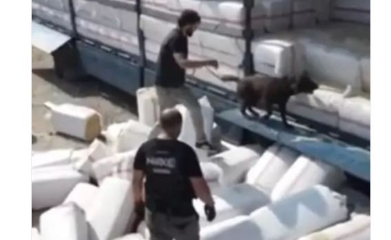 Bakan Yerlikaya duyurdu: Mersin ve Diyarbakır’da 389 kilo uyuşturucu madde ele geçirildi