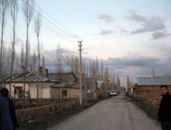 Kesilen Ağaç, Yüksek Gerilim Hattının Üzerine Düştü, Elektronik Aletler Zarar Gördü