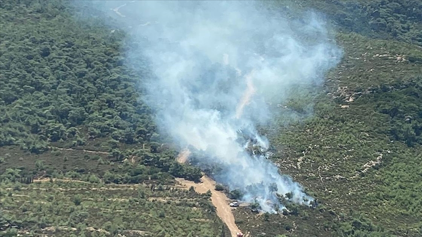 İzmir Foça'da orman yangını çıktı!