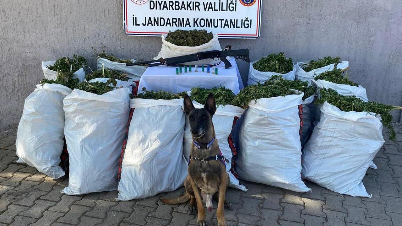 Diyarbakır'da 177 kilogramın üzerinde esrar ele geçirildi!