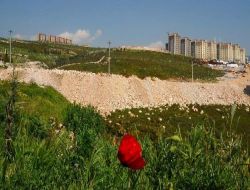 Engelli, Yaşlı Ve Çocuklar İçin Sosyal Yaşam Kampüsü Kurulacak