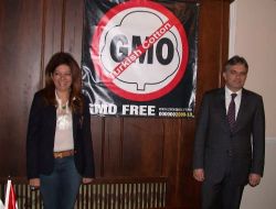 Türk Pamuğuna 'GDO İçermez' Etiketi Vurulacak!