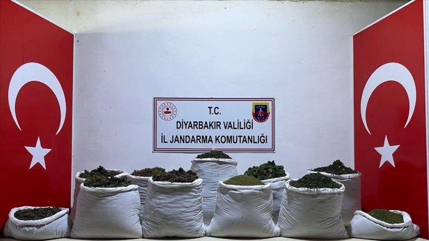 Diyarbakır'da 135 kilo esrar ve 47 bin 800 kök Hint keneviri ele geçirildi