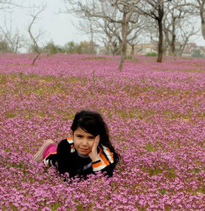 Nihayet Bahar Geliyor!!