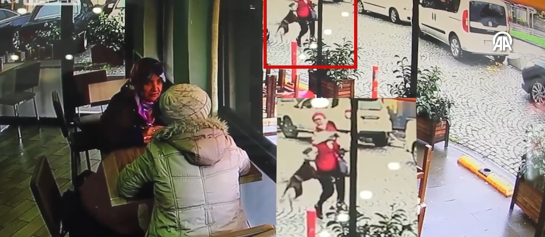 Pitbull kadına ve kucağındaki köpeğe böyle saldırdı