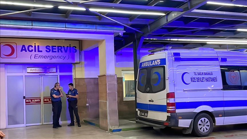 Rize'de sahipsiz köpeklerin saldırdığı 70 yaşındaki kadın yaralandı