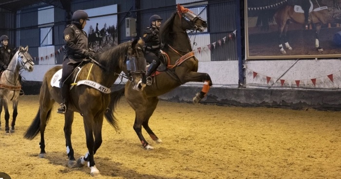 Ankara Emniyet Müdürlüğü bünyesindeki "atlı polisler" zorlu eğitimlerin ardından göreve başlıyor