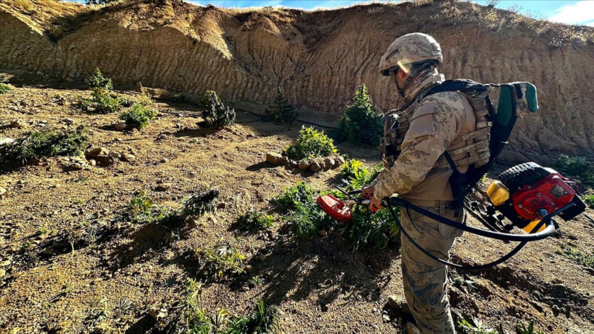 Diyarbakır'da 2023'te 102 milyon 594 bin kök Hint keneviri ve 47 ton 60 kilogram esrar ele geçirildi