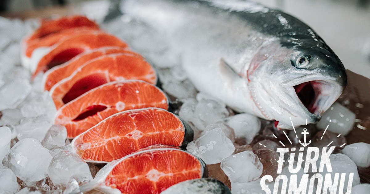 Türk somonu ihracatı 2023'te 396,3 milyon dolara ulaştı!