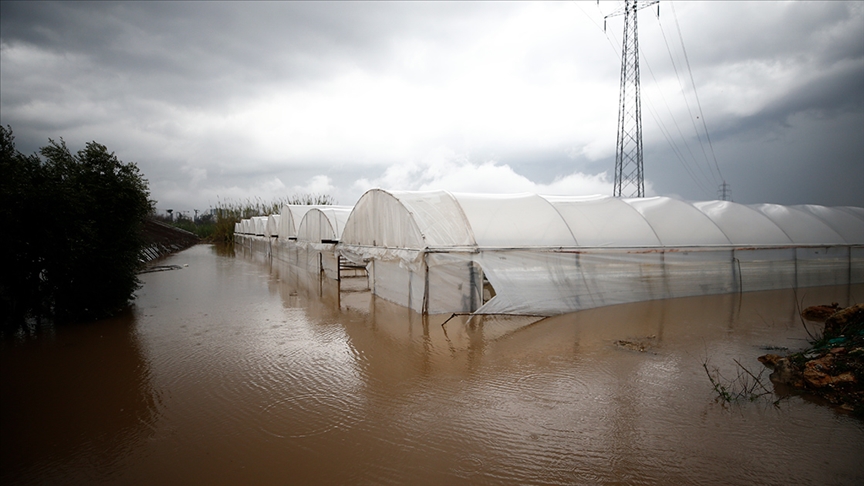 Karaloğlu: Antalya'da 211 çiftçimizin 1200 dekarlık alanda zararı var