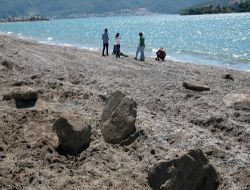 Plajdan Toplanan Taşlar, Kepçeyle Plaja Gömülüyor