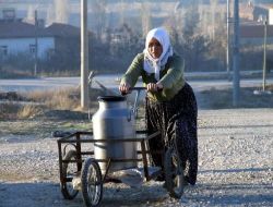 Yıl Başında Rekor Seviyelerine Çıkan Süt Fiyatı Düşüşe Geçti!.