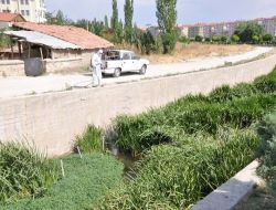 Belediye, İlaçlama Faaliyetlerine Başladı