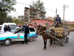 Aksaray'da At Arabası Yasağı