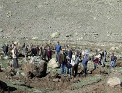Fesleğen Köyünde İmece Usulü Örnek Ağaç Dikme Kampanyası
