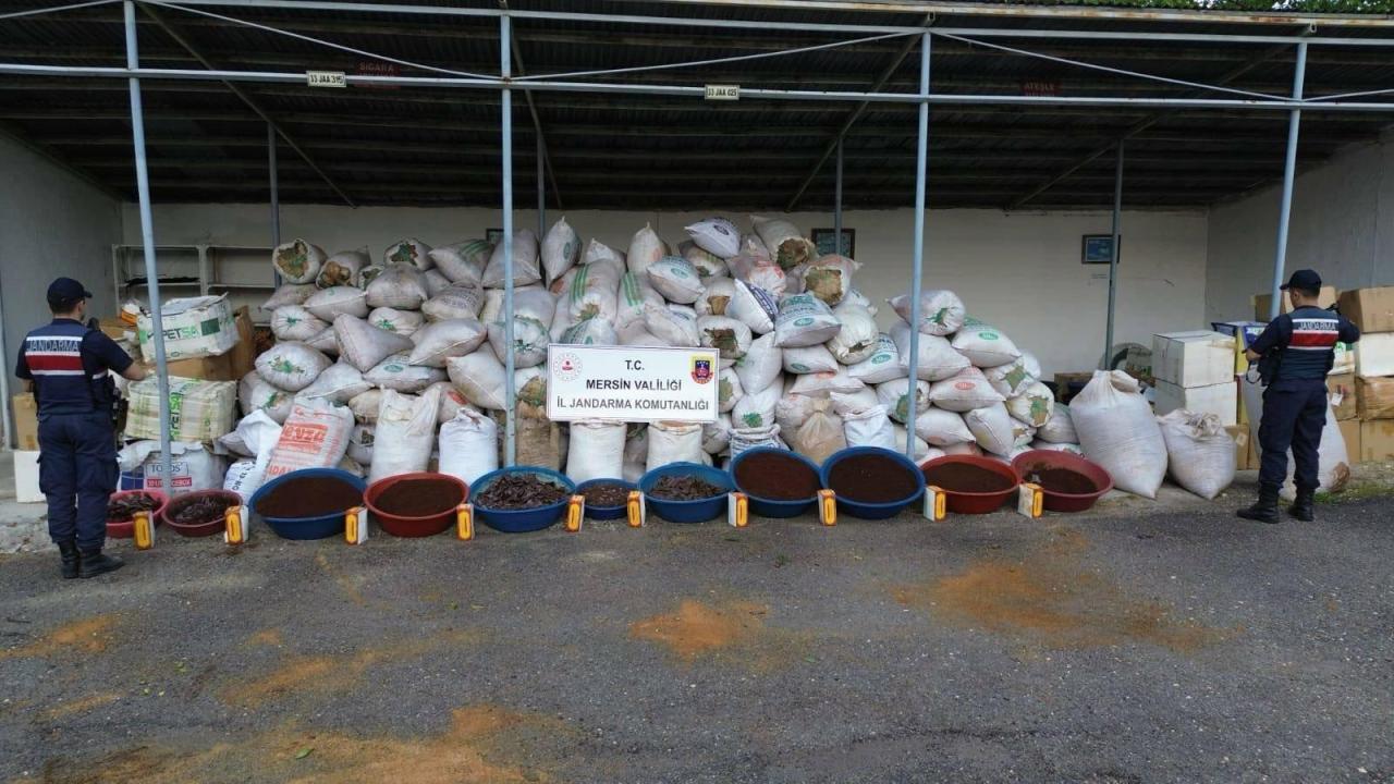 Mersin'de 10 TON KAÇAK TÜTÜN ele geçirildi!