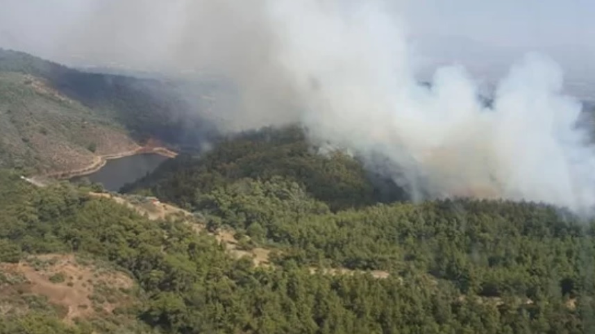 İzmir'deki orman yangını kontrol altına alındı
