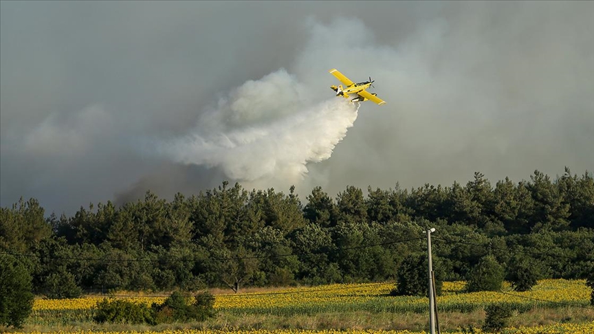 Bursa'da makilik alandan kampüsteki ormana sıçrayan yangın kontrol altına alındı