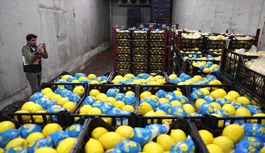 Mersin ve Kapadokya'da limon muhafaza edilen depolar denetlendi