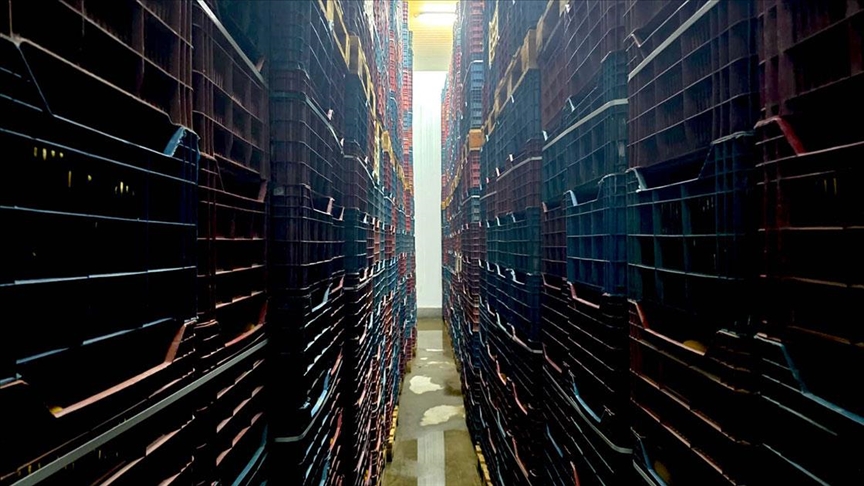 Mersin'de Hal Kayıt Sistemi'ne bildirilmeyen 380 ton limon tespit edildi