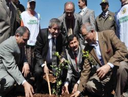 Rekor Kıran Fidanlar Toprakla Buluştu