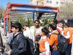 Batman'da Fidan Dağıtımında İzdiham Yaşandı