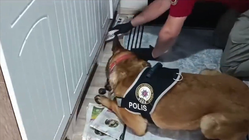 Suç örgütüne yönelik "Kuyu-10" operasyonunda 11 şüpheli yakalandı