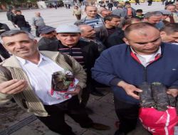 Kırıkkale'de Bedava Fidan İzdihamı