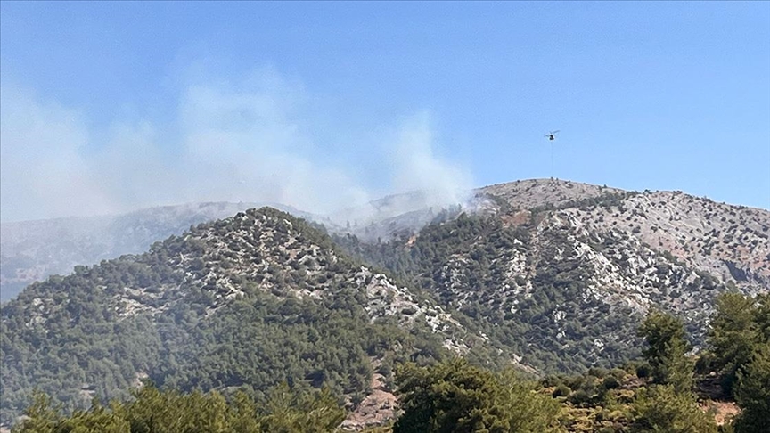 Muğla'nın Milas ilçesinde orman yangını