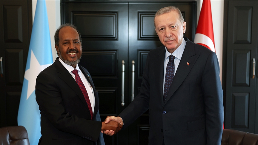 Erdoğan, Somali Cumhurbaşkanı Hasan Şeyh Mahmud ile telefonla görüştü