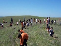 Öğrenciler 5 Dönüm Araziyi Ağaçlandırdı
