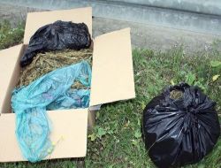 Osmaniye'de 7 Kilo Esrar Ele Geçirildi!!