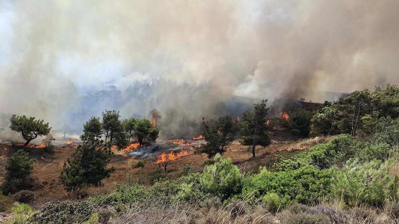 Çanakkale'de tarım arazisinde yangın
