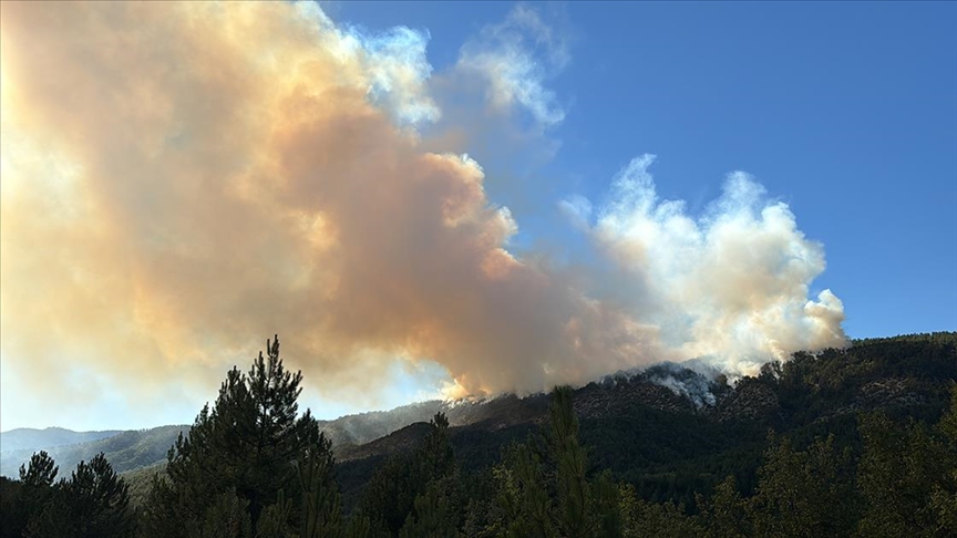 Karabük'te ormanlık alanda çıkan yangına müdahale ediliyor