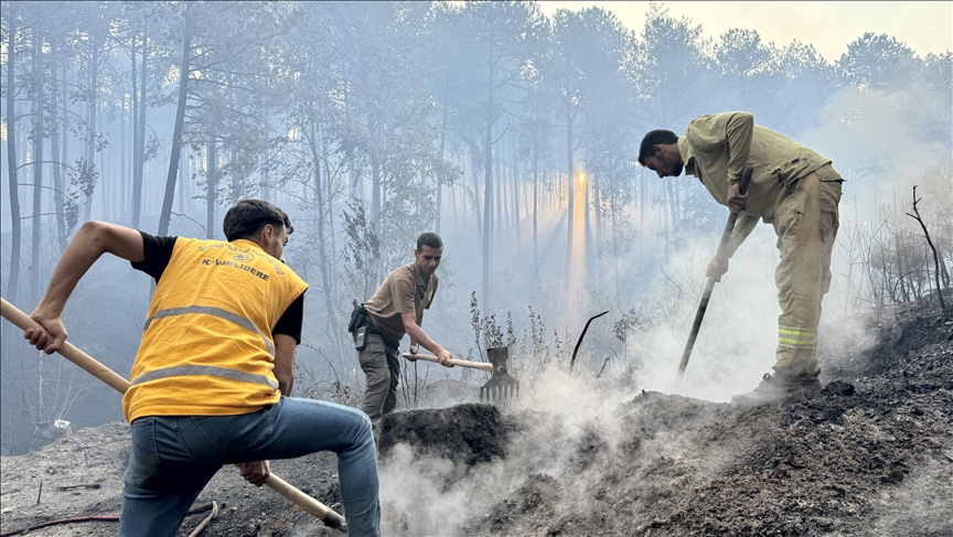 Muğla'nın Yatağan ve Ula ilçelerinde çıkan orman yangınlarına müdahale sürüyor