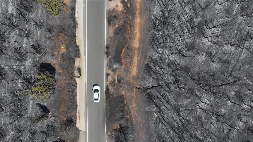 Yangınlarla boğuşan Ege'de yeşil alanlar yerini griye bıraktı