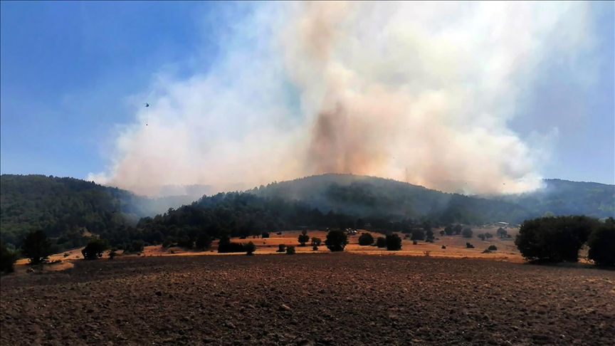Afyonkarahisar'daki orman yangını kontrol altına alındı