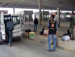 Habur Sınır Kapısı'nda 'Keyfi Muamele' Protestosu