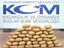 Muz Kolileri İçinde 92 Kilo Esrar Ele Geçirildi!