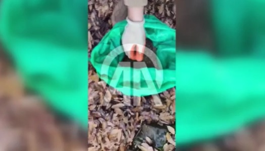 Diyarbakır'da 16 ruhsatsız tabanca ve 31 kilo esrar ele geçirildi