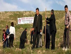 Denizli'de 'her Çocuğa Bir Fidan' Projesi Kapsamında Fidan Dikildi