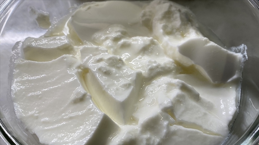 Yumaklı'dan "yeni yoğurt formülasyonu" açıklaması