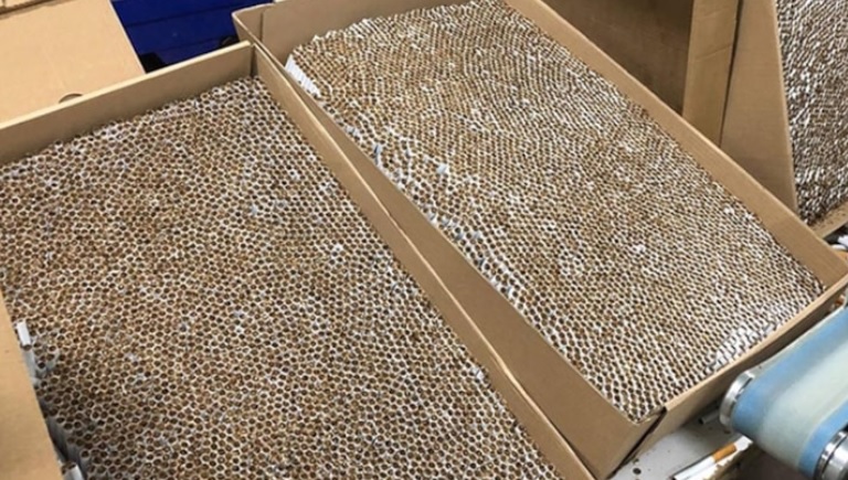 Kocaeli'de 891 bin makaron ele geçirildi!