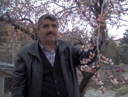Mart Sonunda Yağan Kar, Erken Çiçek Açan Meyve Ağaçlarına Zarar Verdi