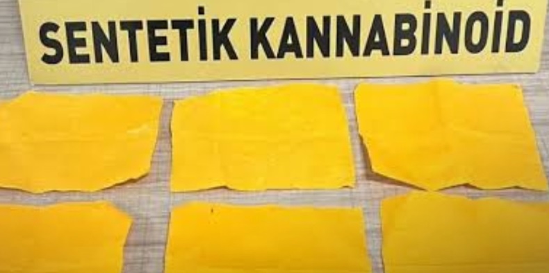 Kamyonet kapı döşemesine gizlenmiş 448 bin doz sentetik uyuşturucu