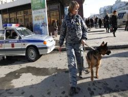 Moskova Metrosunu 400 Köpek Koruyacak!