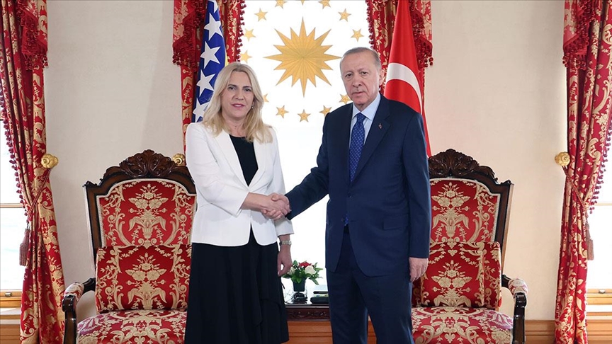 Erdoğan, Bosna Hersek Devlet Başkanlığı Konseyi Başkanı Sviyanoviç ile görüştü