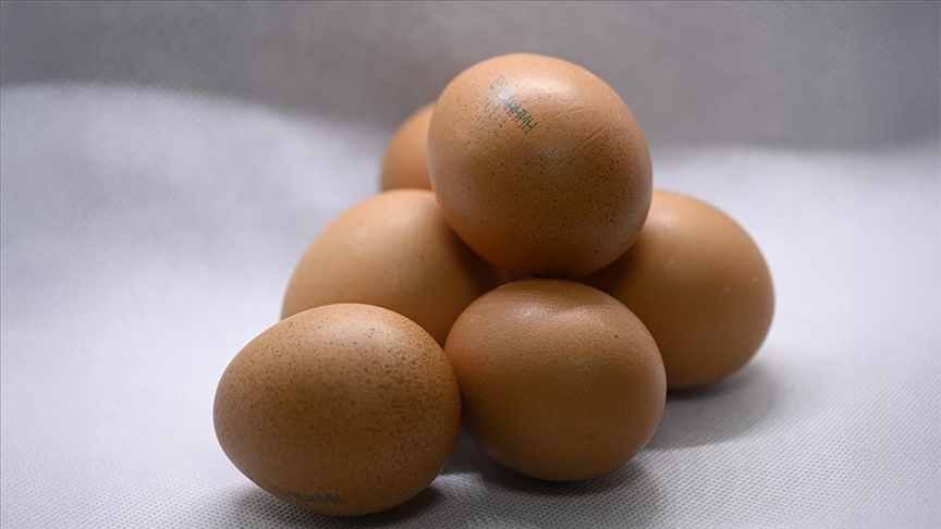 Yumurta ihracatında artırılan fon kesintisi piyasa normale dönünceye kadar sürdürülecek