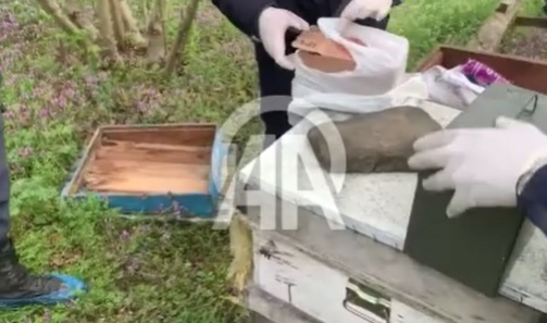 Arı kovanlarına gizlenmiş kaçak silahlar ele geçirildi